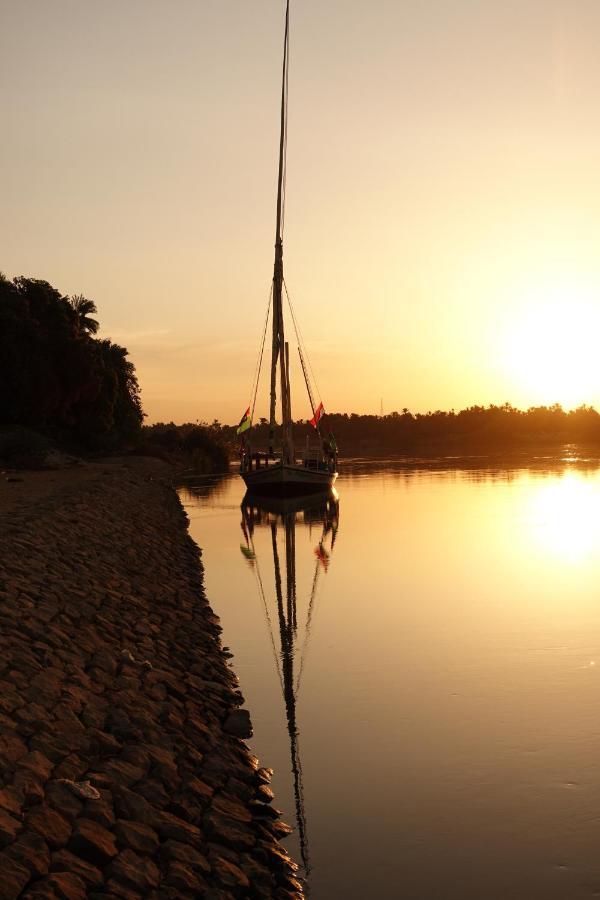 فندق Jj Jamaica Felucca أسوان المظهر الخارجي الصورة